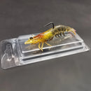 Luminous Shrimp Soft Bait Fishing Lure – Premium 3-Piece Kit