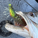 Luminous Shrimp Soft Bait Fishing Lure – Premium 3-Piece Kit
