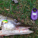 5PCS | Spinner Spoon Fishing Lures